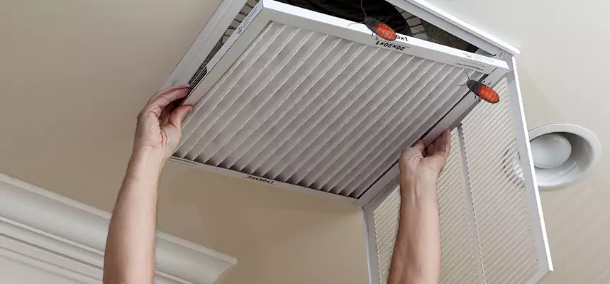 Preventive Cockroach-Proofing for Ducts in West Sacramento