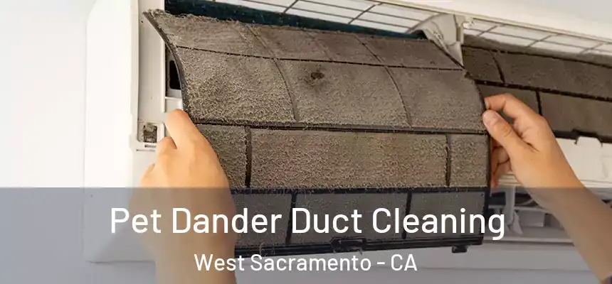  Pet Dander Duct Cleaning West Sacramento - CA