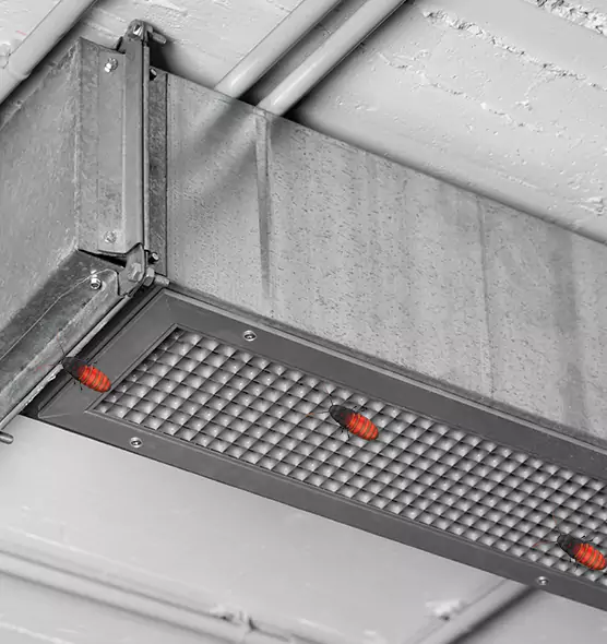 About Air Duct Cockroach Removal in West Sacramento, CA
