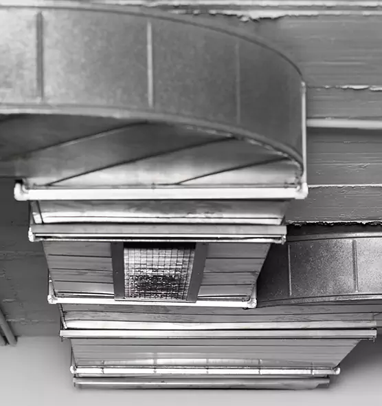 Professional Air Duct Pest Removal in West Sacramento, CA