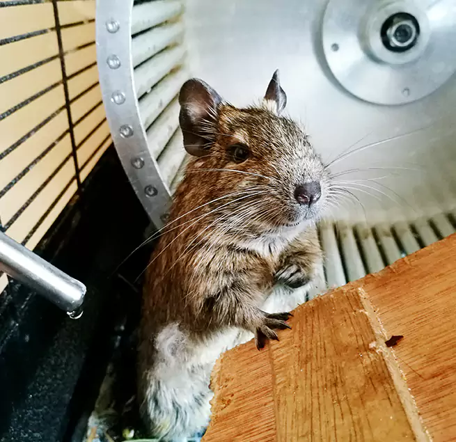 Why Homeowners & Businesses Trust Us West Sacramento, CA?