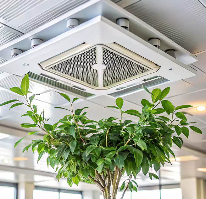 Why Homeowners & Businesses Trust Us in West Sacramento, CA